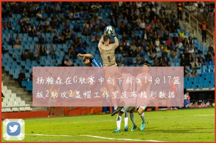 杨瀚森在G联赛中创下新高14分17篮板2助攻2盖帽工作室发布精彩数据海报