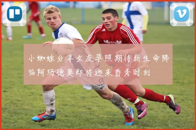 小蜘蛛分享女友孕照期待新生命降临阿玛德奥即将迎来首秀时刻