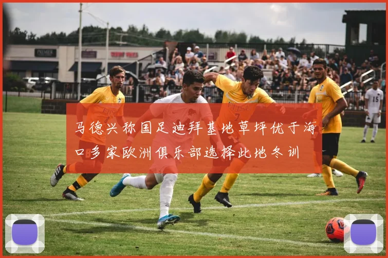 马德兴称国足迪拜基地草坪优于海口多家欧洲俱乐部选择此地冬训