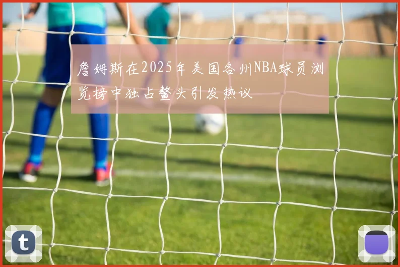 詹姆斯在2025年美国各州NBA球员浏览榜中独占鳌头引发热议