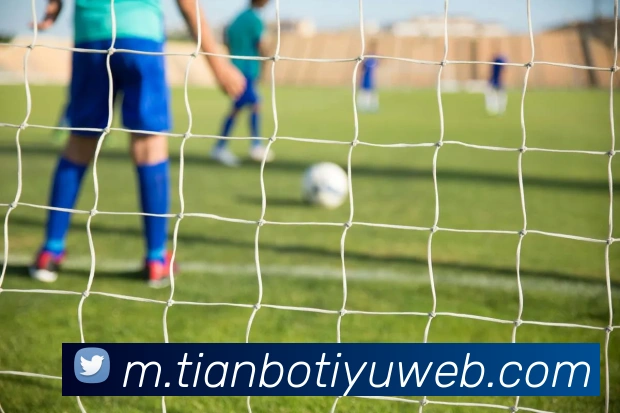 天博体育服务体系